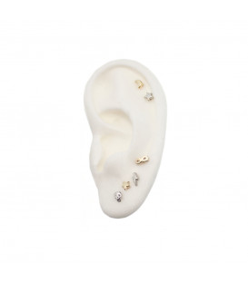 Pack Piercings Calavera de Plata 4 Uds