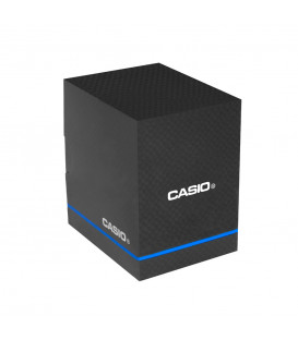 Caja Casio