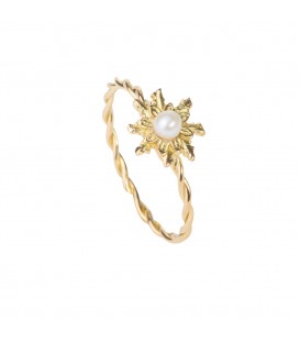 Anillo de Oro Amarillo Joyerías Eguzkilore