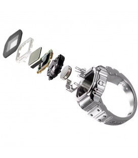 Anillo Casio CRW-001-1ER
