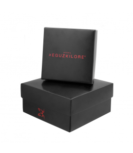 Pulsera Zubi Plata con Eguzkilore