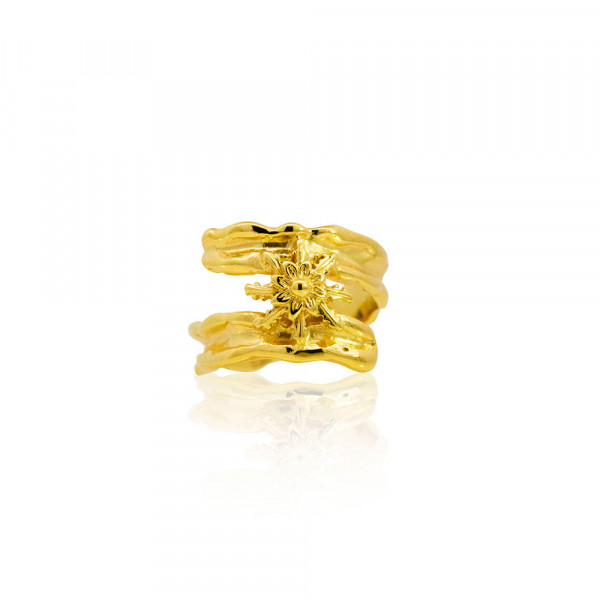 Anillo Ur de Plata Dorada