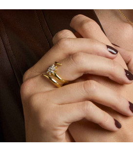 Anillo Tximist de Plata Bicolor