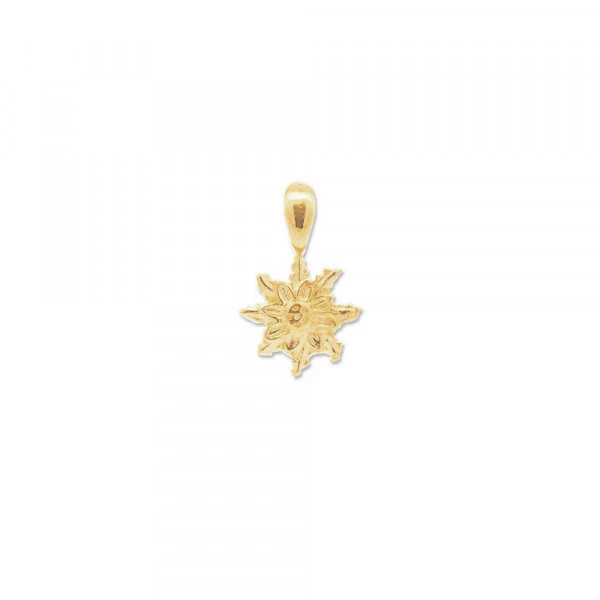 Colgante Eguzkilore Plata Dorada 9mm