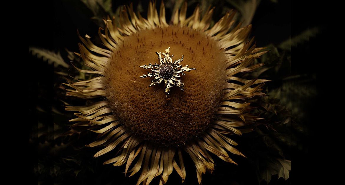 Qué significa el Eguzkilore y el origen de la primera joya Eguzkilore